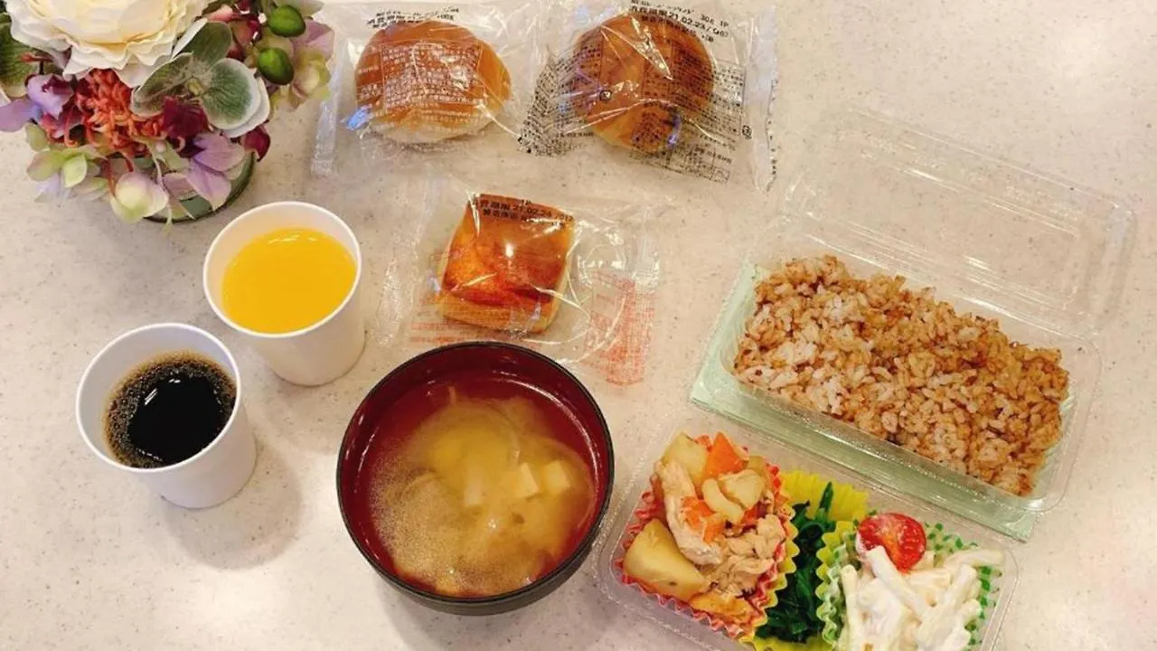 Toyoko Inn Shin-Osaka-Eki Higashi-Guchi 3*, Osaka Japan